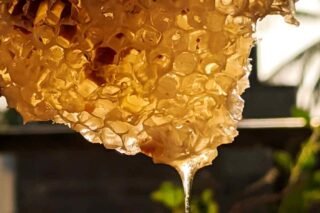Beecome Cretan Honey