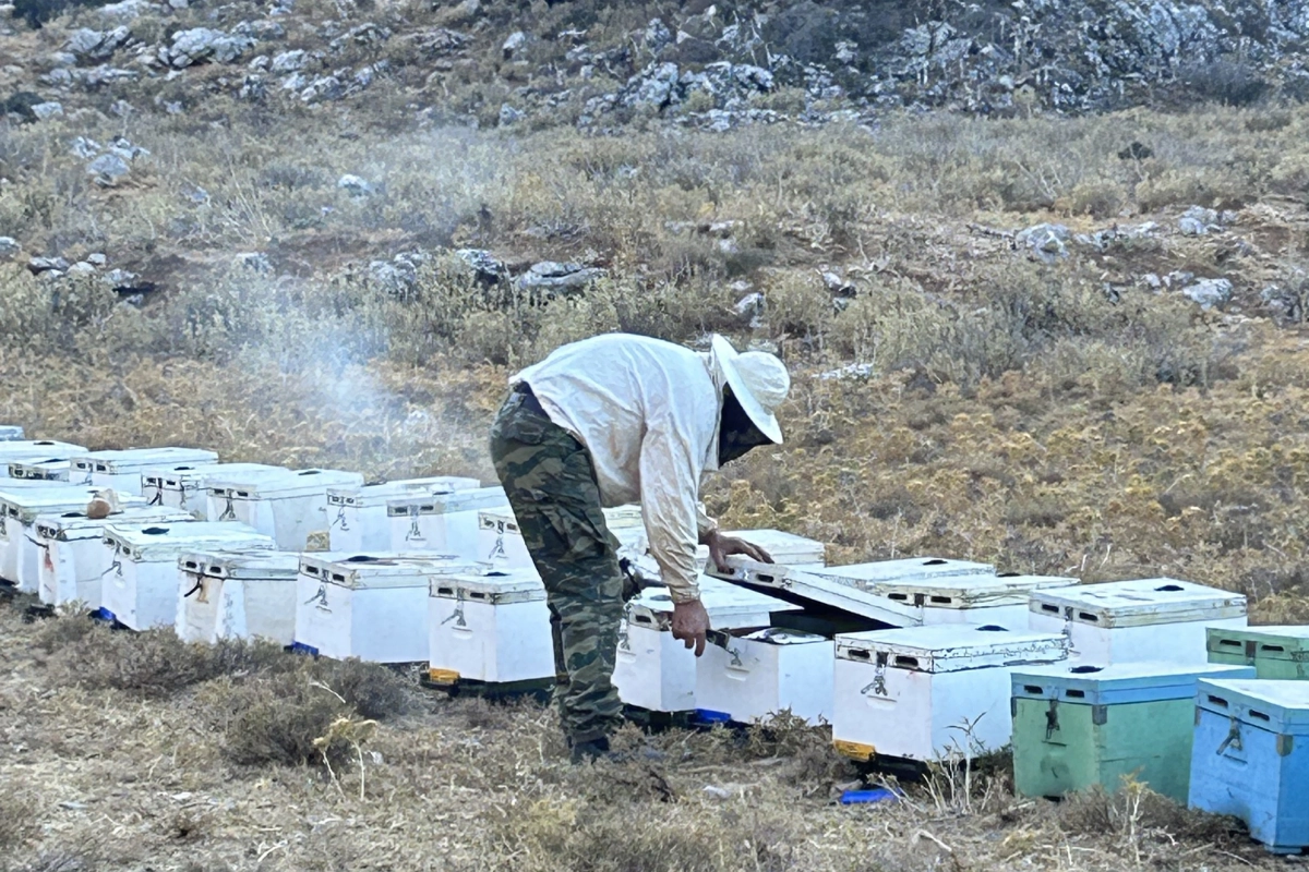 Beecome Cretan Honey - Greek Family Honey farm from Crete